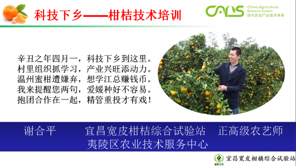 科技培训助力五龙村柑桔产业发展